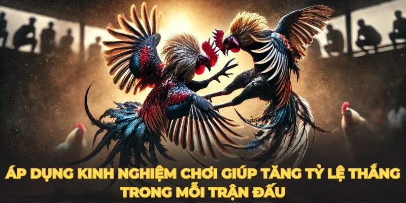 Áp dụng kinh nghiệm chơi giúp tăng tỷ lệ thắng trong mỗi trận đấu