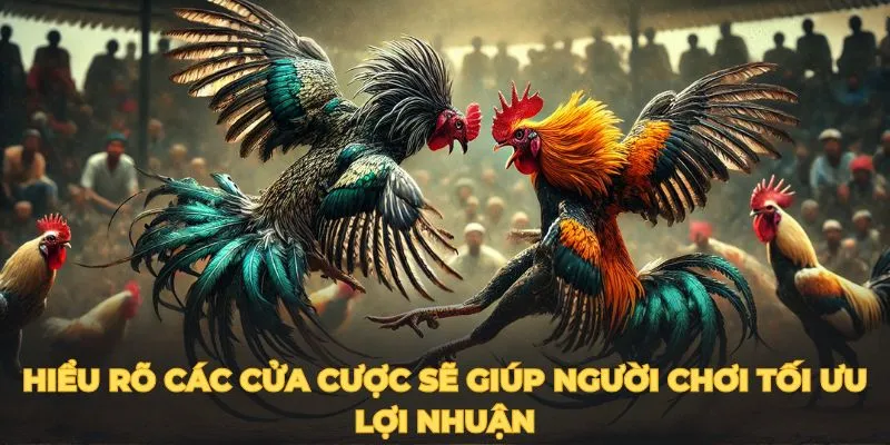 Hiểu rõ các cửa cược sẽ giúp người chơi tối ưu lợi nhuận