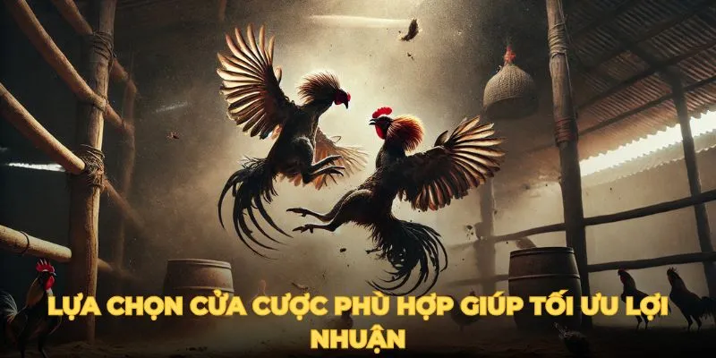 Lựa chọn cửa cược phù hợp giúp tối ưu lợi nhuận